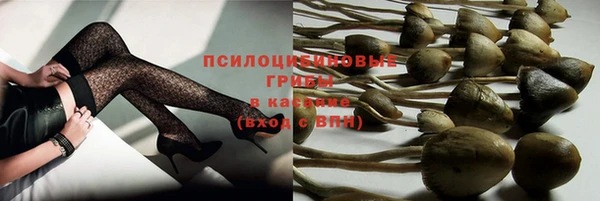 спиды Богданович