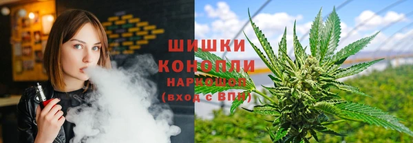 спиды Богданович