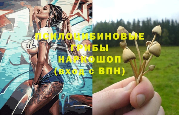 гидропоника Богородск