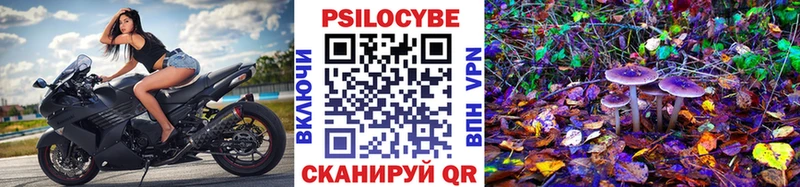Псилоцибиновые грибы MAGIC MUSHROOMS  Купить закладки  Орлов 